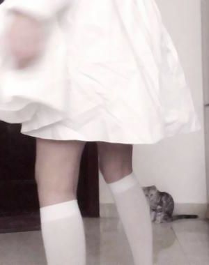 沙雕仙君来渡劫by汐落红尘